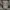 Helmut Lang photo 5