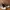 CONVERSE CHUCK TAYLOR HI X JOHN VARVATOS STUDD LEATHER BROWN photo 2