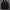 HOODIE ADIDAS TREEFOIL LOGO  photo 2
