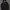 HOODIE ADIDAS TREEFOIL LOGO 