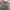 Relaxed Wide Ankle Pants Lipsum green hunter photo 3