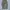 GU Parachute Cargo Pant photo 3