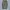 GU Parachute Cargo Pant