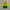 The North Face Outerwear Kids yellow green photo 2
