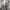 Black box army tactical jacket photo 7