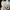 NFL Jersey Detroit Lions photo 6