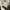 NFL Jersey Detroit Lions photo 5