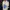 NFL Jersey Detroit Lions photo 4