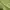 Kaos Outdoor Karrimor Baselayer Green Gunung Hiking Trekking photo 3