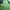 Kaos Outdoor Karrimor Baselayer Green Gunung Hiking Trekking photo 1