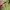 Kaos Outdoor Karrimor Baselayer Green Gunung Hiking Trekking photo 2