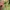 Kaos Outdoor Karrimor Baselayer Green Gunung Hiking Trekking
