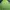 Kaos Outdoor Karrimor Baselayer Green Gunung Hiking Trekking photo 5