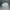 Yooki Ocean Plushie / Boneka Bag Charm Dolphin [selected]