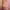 A coral pink black camisole lingerie tank top one set photo 3