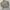 Nuc Tan / Khaki Canvas 4 Pocket Trucker Jacket photo 6