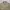 Nuc Tan / Khaki Canvas 4 Pocket Trucker Jacket photo 2