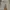 Burberry Y2K Wide leg jeans Wanita khaki photo 7