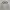 Alba optics Vzum glasses Brown photo 2
