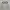 Alba Optics Vzum Glasses Brown
