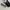 Alba optics Vzum glasses Brown photo 1