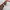 Alba optics vzum glasses red photo 4