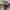 Apple watch series 3  photo 8