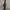 Apple watch series 3  photo 1