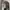 Vintage Crocodile Brown Textured Harrington Jacket photo 4