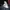 Nike Streetwear Casual Casual shoe Pria white photo 2