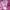 Metrocity Casual Sportswear Windbreaker Pria pink photo 4