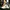 Nike Streetwear Casual Casual shoe Pria white photo 2