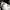 Nike Streetwear Casual Casual shoe Pria white photo 4