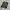 WRANGLER CORDURAY LONG PANTS photo 1
