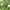 Crocodile Casual Minimalist Harrington jacket Pria green photo 3