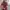 Korean dress maroon cheongsam puffy dress photo 1
