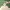 Minimalist Wanita green photo 3