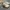 Nike Zoom KD 12  photo 1