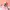 Minimalist Wanita pink photo 6