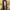 Corkcicle Auth Starbucks