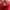 Puma Casual Sneakers Pria red photo 6