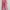 NEW set wanita pink photo 4