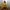 figure manusia beruang DISNEY photo 1