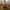 figure manusia beruang DISNEY photo 5