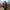 figure monster musuh ultraman photo 4