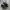 CONVERSE CHUCK TAYLOR ALL STAR 70 S OX MONO BLACK photo 1