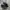 CONVERSE CHUCK TAYLOR ALL STAR 70 S OX MONO BLACK