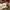 figure ben bandai photo 3