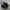 CONVERSE CHUCK TAYLOR ALL STAR 70 S OX MONO BLACK Low