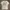 T shirt MTV photo 1